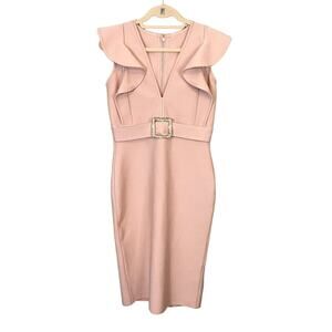 Vanessa Scott Sheath Dress Pink Large